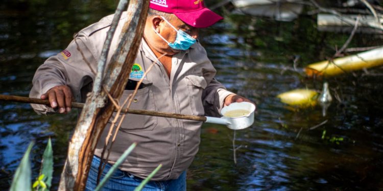 CUMPLE QUINTANA ROO 80 SEMANAS SIN PRESENTAR CASOS DE PALUDISMO