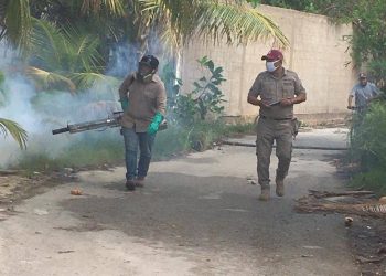 NTENSIFICAN GOBIERNO ESTATAL Y MUNICIPAL COMBATE AL MOSCO TRANSMISOR DEL DENGUE EN ISLA MUJERES