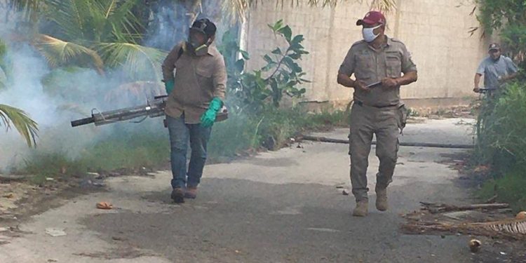 NTENSIFICAN GOBIERNO ESTATAL Y MUNICIPAL COMBATE AL MOSCO TRANSMISOR DEL DENGUE EN ISLA MUJERES