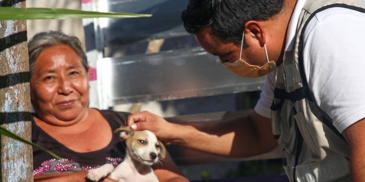 INVITA AYUNTAMIENTO A POBLACIÓN DE ZONA CONTINENTAL A CAMPAÑA DE VACUNACIÓN CANINA