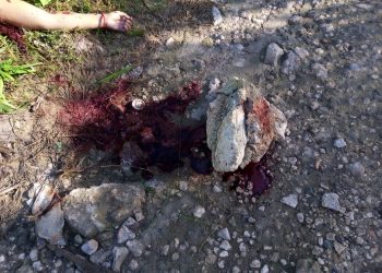 ASESINAN A PEDREADAS A MADRE E HIJA EN CANCÚN