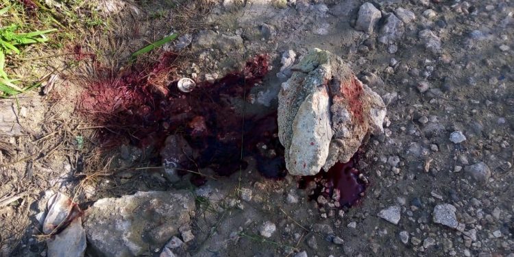 ASESINAN A PEDREADAS A MADRE E HIJA EN CANCÚN