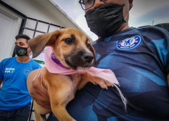 UN ÉXITO LA JORNADA DE ADOPCIÓN CANINA