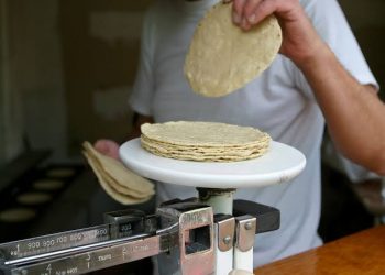 SUBIRÁ EN DICIEMBRE A 20 PESOS EL KILOGRAMO DE TORTILLA EN QUINTANA ROO