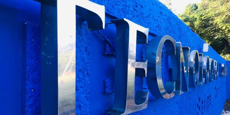 DESIGNACIÓN Y CONTRATACIÓN IRREGULAR DE PLAZAS EN TECNOLÓGICO DE FCP