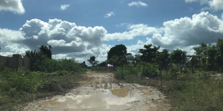 LUCHAN EJIDATARIOS CONTRA INVASORES Y VIVALES