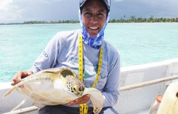 CICLO DE CONFERENCIAS PARA LA CONSERVACIÓN DE LAS TORTUGAS MARINAS