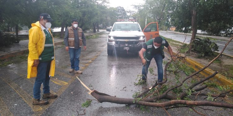 FINALIZA TEMPORADA DE HURACANES