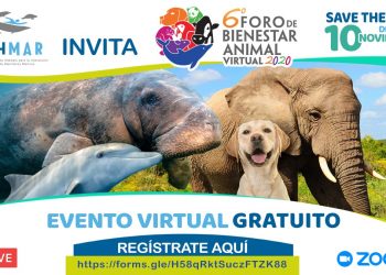 CONVOCA AMHMAR AL 6º FORO DE BIENESTAR ANIMAL