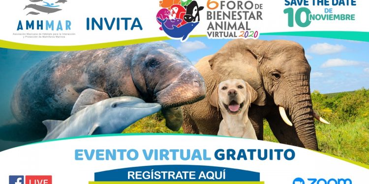 CONVOCA AMHMAR AL 6º FORO DE BIENESTAR ANIMAL