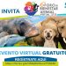 CONVOCA AMHMAR AL 6º FORO DE BIENESTAR ANIMAL