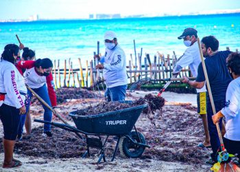 TRABAJA GOBIERNO DE ISLA MUJERES EN MANTENER PLAYAS LIBRES DE SARGAZO PARA LOCALES Y VISITANTES