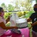 ENTREGA DIF KITS A MUJERES PASTELERAS DEL MUNICIPIO
