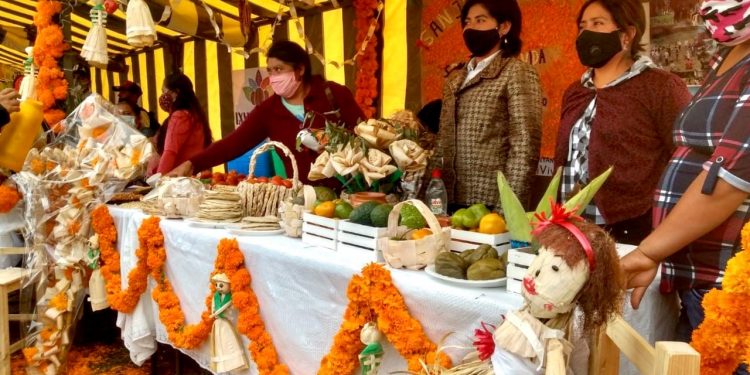 SEMBRANDO VIDA FOMENTA TRADICIÓN DE DÍA DE MUERTOS CON PRODUCCIÓN DE CALABAZA, CAMOTE Y FLOR DE CEMPASÚCHIL
