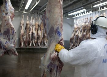 SUBE EL PRECIO DE CARNE DE RES LA PRÓXIMA SEMANA