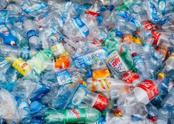 RECOLECTARÁN PET EN CANCÚN PARA APOYAR AL CRIT QUINTANA ROO