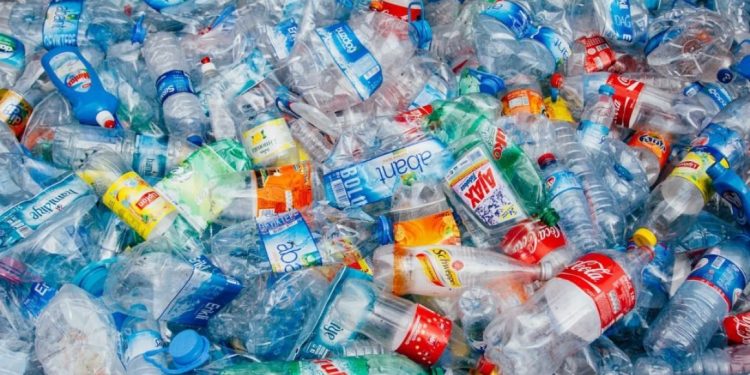 RECOLECTARÁN PET EN CANCÚN PARA APOYAR AL CRIT QUINTANA ROO