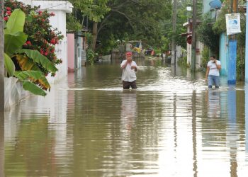 ARREGLAREMOS CASAS Y DAREMOS ENSERES DOMÉSTICOS A AFECTADOS EN EL SURESTE: AMLO