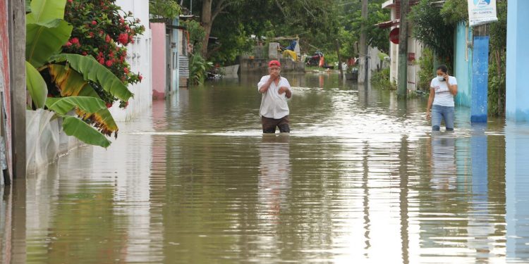 ARREGLAREMOS CASAS Y DAREMOS ENSERES DOMÉSTICOS A AFECTADOS EN EL SURESTE: AMLO