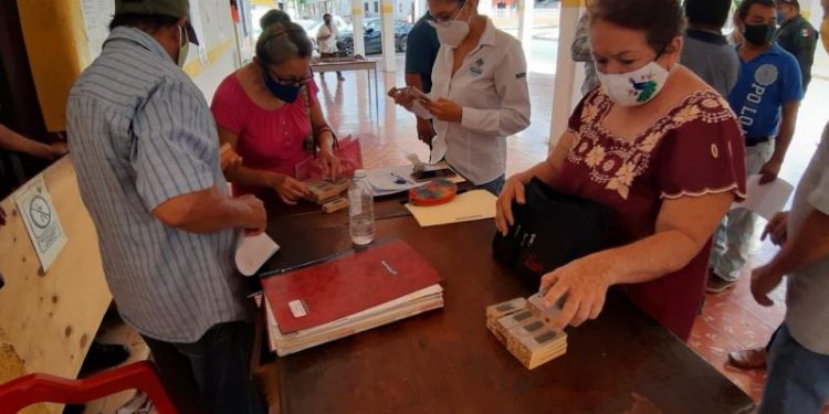 CONTINÚA EL RESPALDO DEL GOBIERNO DEL ESTADO A LA APICULTURA YUCATECA