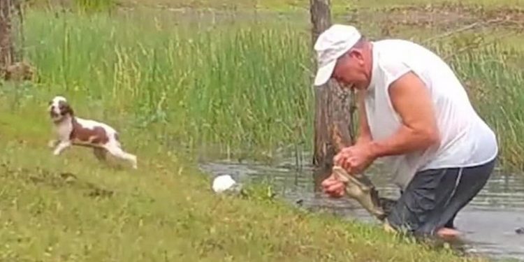 HOMBRE LUCHA CON COCODRILO PARA RESCATAR A SU PERRO Y SE VUELVE VIRAL