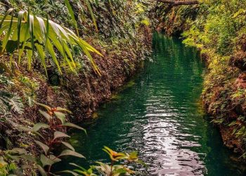 PUERTO MORELOS RATIFICÓ SER EL MEJOR DESTINO DE AVENTURA