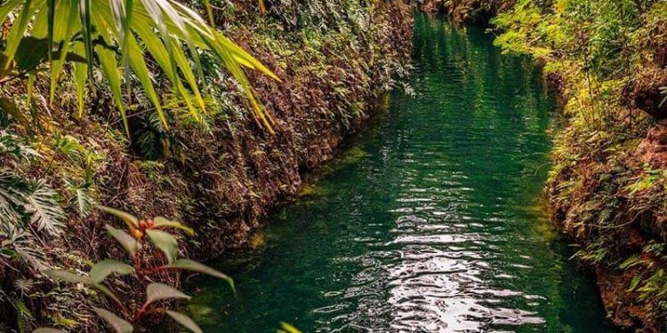 PUERTO MORELOS RATIFICÓ SER EL MEJOR DESTINO DE AVENTURA