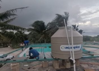 INICIA REHABILITACIÓN DE SANTUARIO DE LA TORTUGA MARINA XCACEL-XCACELITO