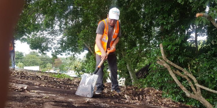YAXCHE CON NUEVA IMAGEN GRACIAS AL APOYO DE BRIGADISTAS.