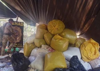 INCAUTAN 41 TONELADAS DE MARIHUANA EN PARAGUAY EN UNA ZONA FRONTERIZA CON BRASIL