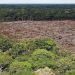 LA DEFORESTACIÓN EN LA AMAZONÍA BRASILEÑA CRECE UN 9,5 % EN EL ÚLTIMO AÑO