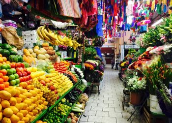 LANZAN CAMPAÑA PARA QUE LA POBLACIÓN TRANSFORME SU ALIMENTACIÓN