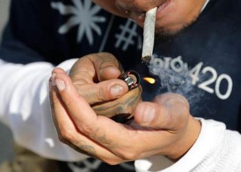 LÓPEZ OBRADOR: LOS MEXICANOS ACTUARÁN RESPONSABLEMENTE CON LA MARIHUANA LEGAL