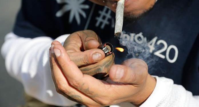 LÓPEZ OBRADOR: LOS MEXICANOS ACTUARÁN RESPONSABLEMENTE CON LA MARIHUANA LEGAL