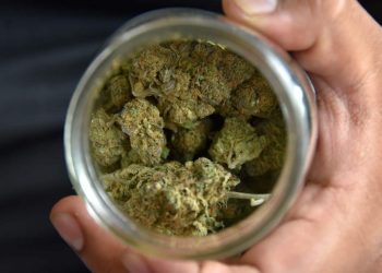 MÉXICO APLICARÁ IMPUESTO ESPECIAL A LA MARIHUANA SI SE APRUEBA SU USO LÚDICO