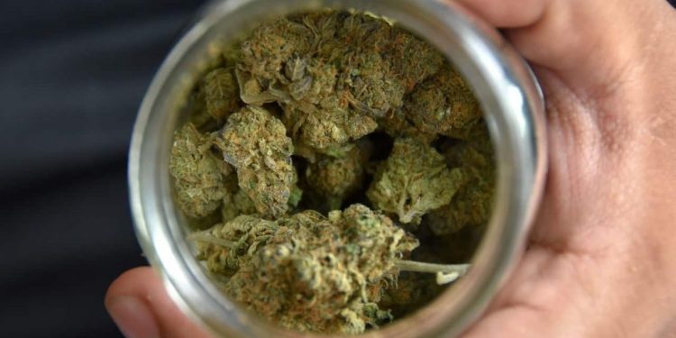 MÉXICO APLICARÁ IMPUESTO ESPECIAL A LA MARIHUANA SI SE APRUEBA SU USO LÚDICO