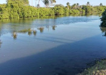 NIÑO SE AHOGA AL CAER AL CANAL DE AGUAS NEGRAS EN VERACRUZ