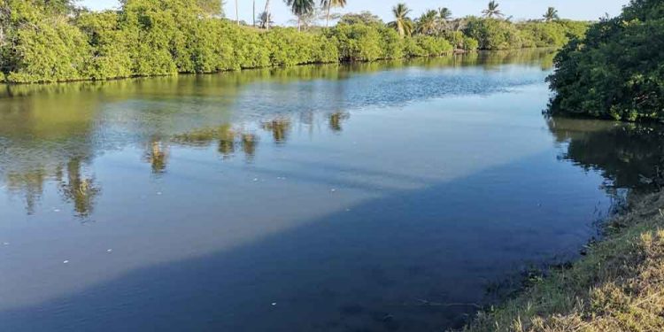 NIÑO SE AHOGA AL CAER AL CANAL DE AGUAS NEGRAS EN VERACRUZ