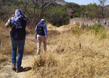 SUBE A 66 CIFRA DE CUERPOS HALLADOS EN FOSAS CLANDESTINAS EN GUANAJUATO