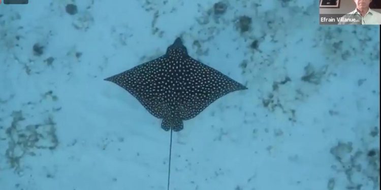 ACCIONES DE CULTURA AMBIENTAL EN BENEFICIO DE LA POBLACIÓN Y LOS RECURSOS NATURALES