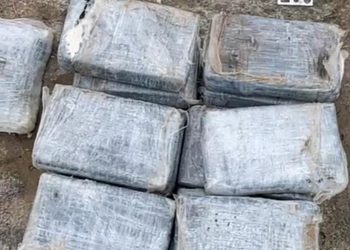 ASEGURA LA SEMAR DROGA EN LA ISLA DE COZUMEL