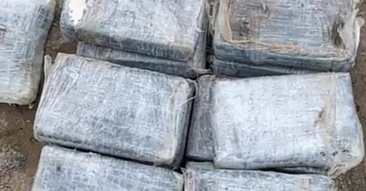 ASEGURA LA SEMAR DROGA EN LA ISLA DE COZUMEL