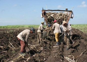 RETRASOS DE PRODUCCIÓN CAÑERA POR FRENTES FRÍOS EN CIERRE DE 2020