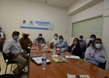 QUINTANA ROO SERÁ DECLARADO LIBRE DE BRUCELOSIS EN BOVINOS Y OVINOS