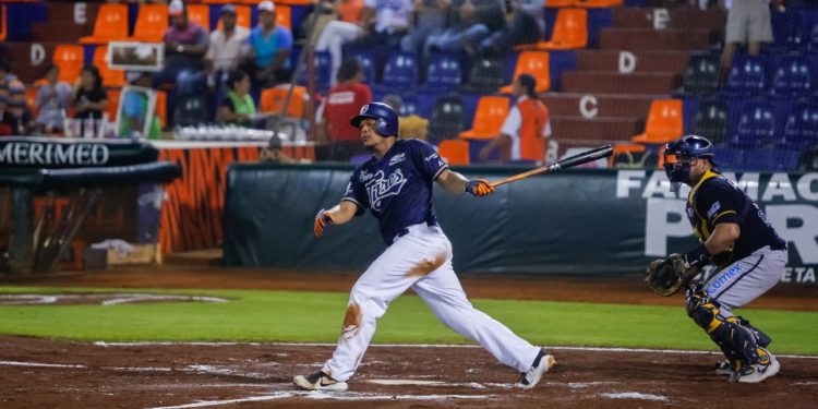 DESTACAN TIGRES EN INVIERNO