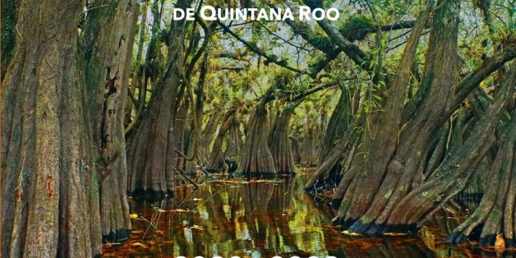 ENTREGARÁN EL PLAN ESTATAL DE EDUCACIÓN AMBIENTAL 2020-2022