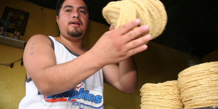 NO HABRÁ INCREMENTO EN EL PRECIO DE LA TORTILLA