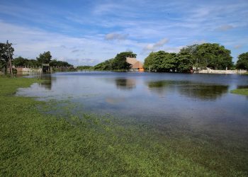 HABITANTES DE NOH BEC PIDEN INCLUSIÓN EN PROYECTO DEL TREN MAYA