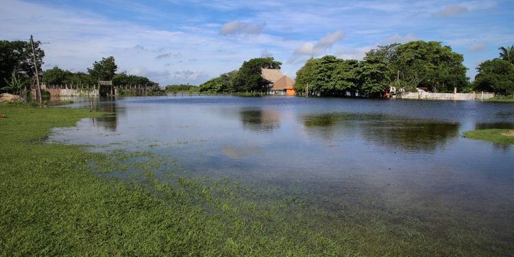 HABITANTES DE NOH BEC PIDEN INCLUSIÓN EN PROYECTO DEL TREN MAYA