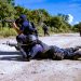 POLICÍAS MEJOR CAPACITADOS EN TULUM